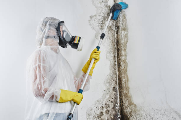 Best Mold Testing  in Jordan, MN