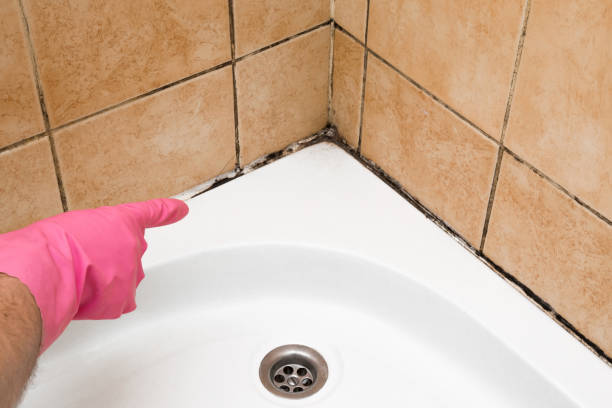 Best Mold Testing  in Jordan, MN